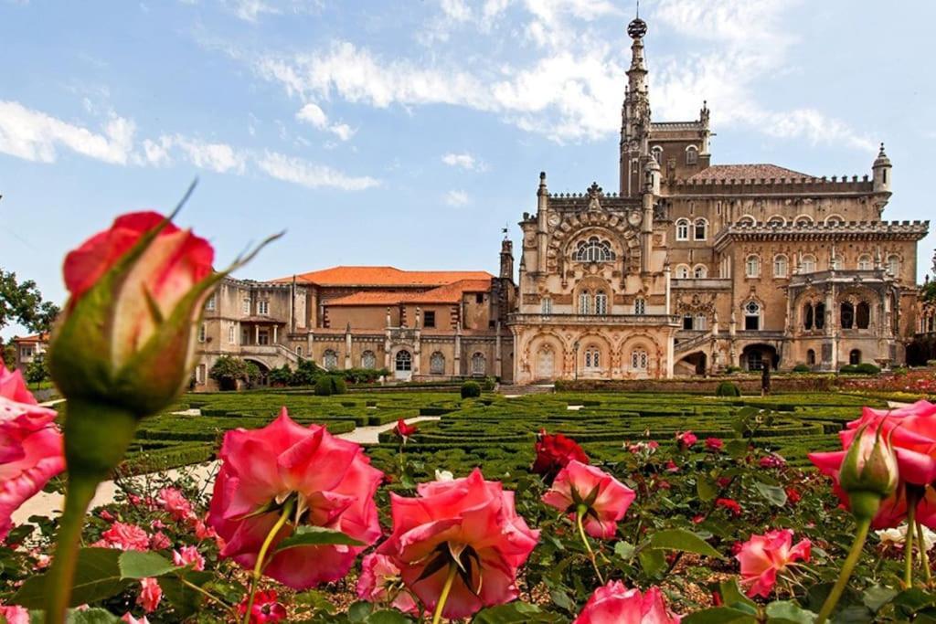 Veiga * Coimbra
